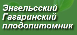 Энгельсский Гагаринский Плодопитомник — логотип