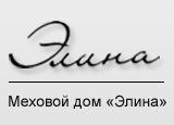 Элина — логотип
